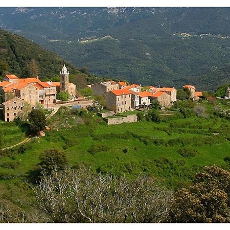 Casadimela Villa Porto-Vecchio  Exteriör bild