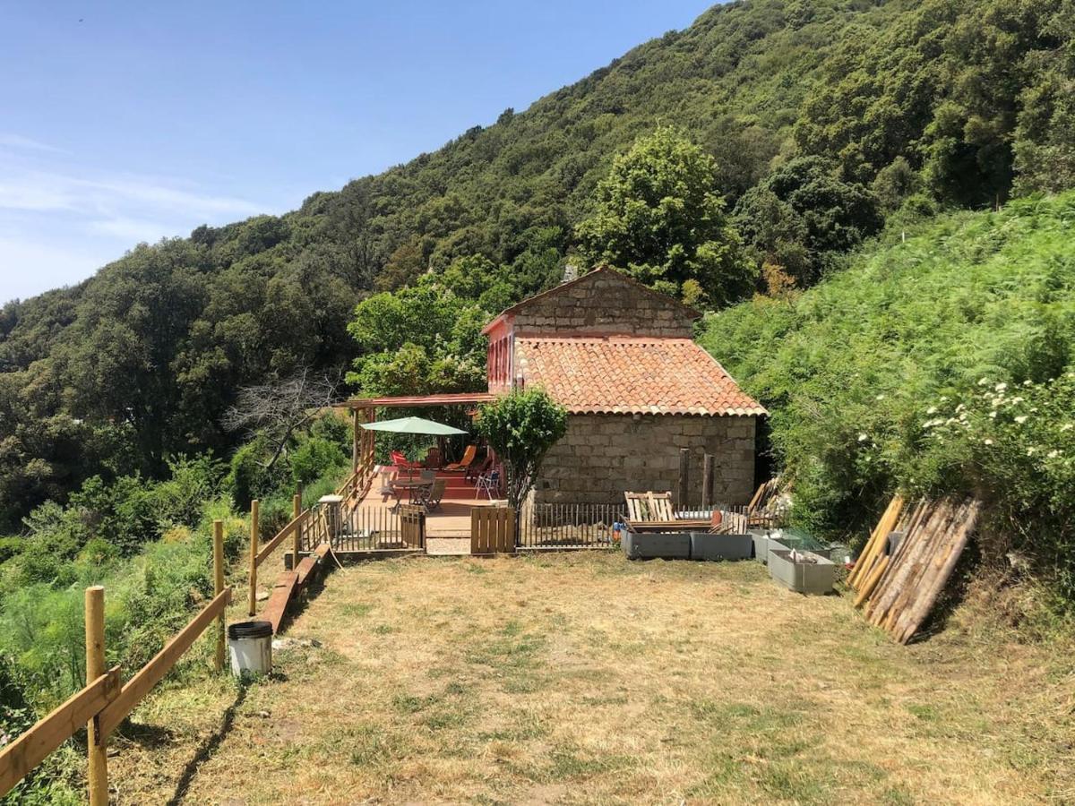Casadimela Villa Porto-Vecchio  Exteriör bild