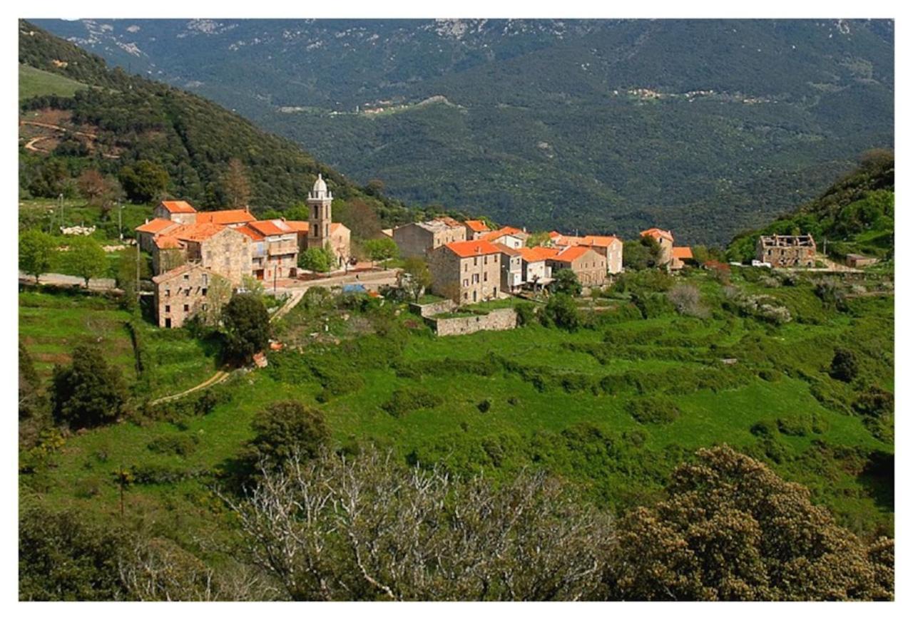 Casadimela Villa Porto-Vecchio  Exteriör bild
